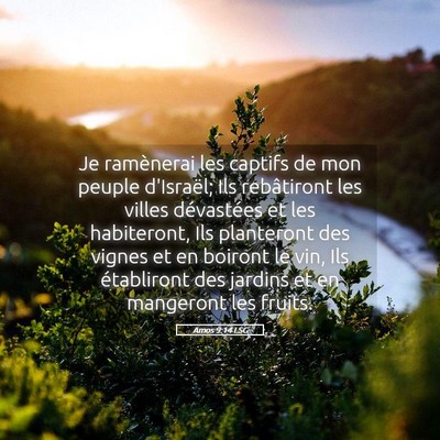 Picture 05 - Amos 9:14 LSG - Je ramènerai les captifs de mon peuple - Bible Verse Picture