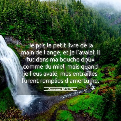 Picture 05 - Apocalypse 10:10 LSG - Je pris le petit livre de la main de l'ange, et - Bible Verse Picture