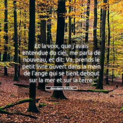 Picture 05 - Apocalypse 10:8 LSG - Et la voix, que j'avais entendue du ciel, me - Bible Verse Picture