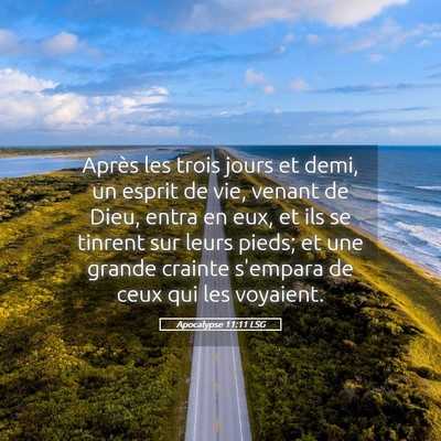Picture 05 - Apocalypse 11:11 LSG - Après les trois jours et demi, un esprit de vie, - Bible Verse Picture