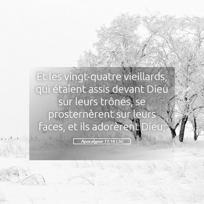 Picture 05 - Apocalypse 11:16 LSG - Et les vingt-quatre vieillards, qui étaient - Bible Verse Picture