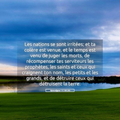 Picture 05 - Apocalypse 11:18 LSG - Les nations se sont irritées; et ta colère est - Bible Verse Picture