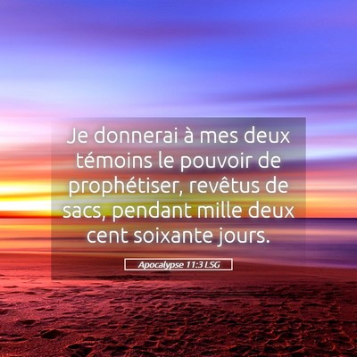Picture 05 - Apocalypse 11:3 LSG - Je donnerai à mes deux témoins le pouvoir de - Bible Verse Picture