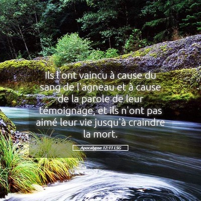 Picture 05 - Apocalypse 12:11 LSG - Ils l'ont vaincu à cause du sang de l'agneau et - Bible Verse Picture