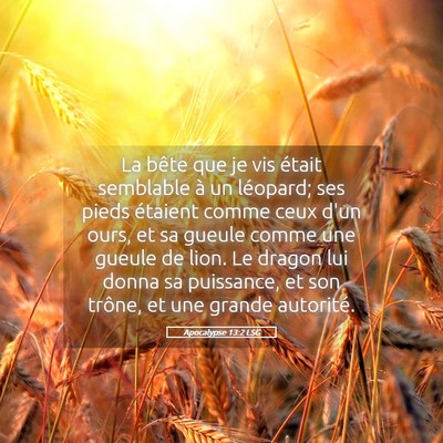 Picture 05 - Apocalypse 13:2 LSG - La bête que je vis était semblable à un - Bible Verse Picture