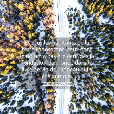Picture 05 - Apocalypse 13:8 LSG - Et tous les habitants de la terre l'adoreront, - Bible Verse Picture