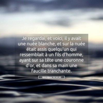 Picture 05 - Apocalypse 14:14 LSG - Je regardai, et voici, il y avait une nuée - Bible Verse Picture