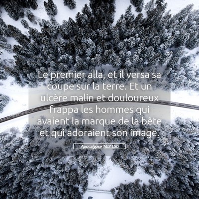 Picture 05 - Apocalypse 16:2 LSG - Le premier alla, et il versa sa coupe sur la - Bible Verse Picture