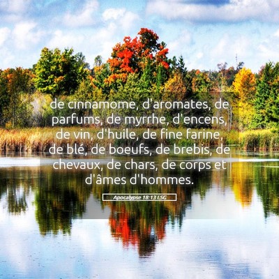 Picture 05 - Apocalypse 18:13 LSG - de cinnamome, d'aromates, de parfums, de myrrhe, - Bible Verse Picture