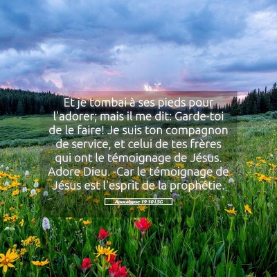 Picture 05 - Apocalypse 19:10 LSG - Et je tombai à ses pieds pour l'adorer; mais il - Bible Verse Picture