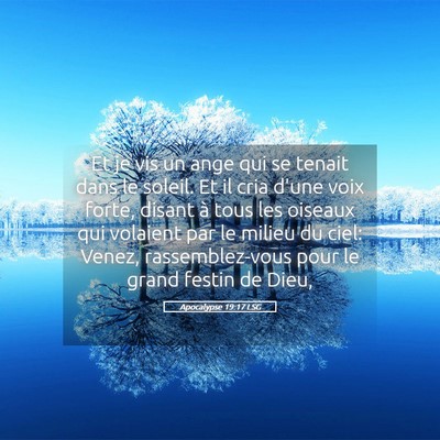 Picture 05 - Apocalypse 19:17 LSG - Et je vis un ange qui se tenait dans le soleil. - Bible Verse Picture