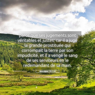 Picture 05 - Apocalypse 19:2 LSG - parce que ses jugements sont véritables et - Bible Verse Picture