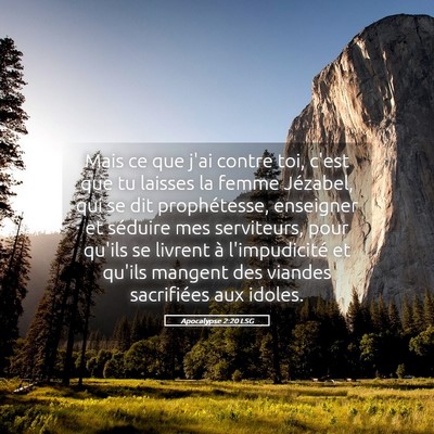 Picture 05 - Apocalypse 2:20 LSG - Mais ce que j'ai contre toi, c'est que tu laisses - Bible Verse Picture