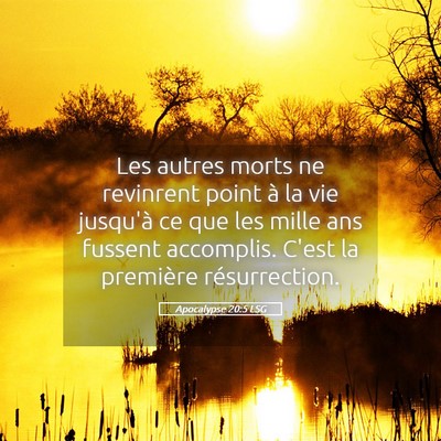 Picture 05 - Apocalypse 20:5 LSG - Les autres morts ne revinrent point à la vie - Bible Verse Picture
