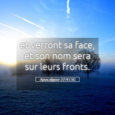 Picture 05 - Apocalypse 22:4 LSG - et verront sa face, et son nom sera sur leurs - Bible Verse Picture