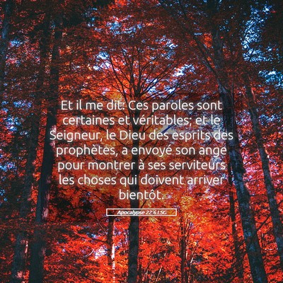 Picture 05 - Apocalypse 22:6 LSG - Et il me dit: Ces paroles sont certaines et - Bible Verse Picture