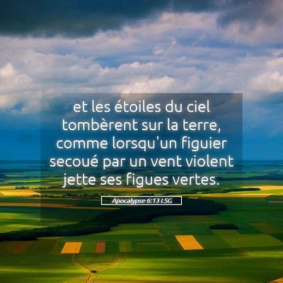 Picture 05 - Apocalypse 6:13 LSG - et les étoiles du ciel tombèrent sur la terre, - Bible Verse Picture