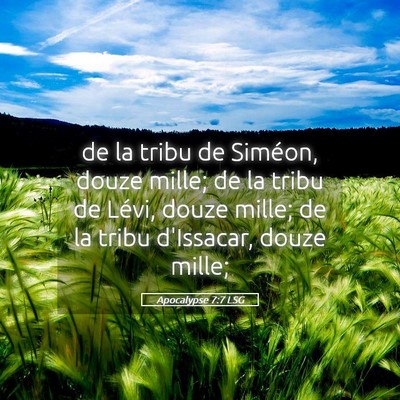 Picture 05 - Apocalypse 7:7 LSG - de la tribu de Siméon, douze mille; de la tribu - Bible Verse Picture