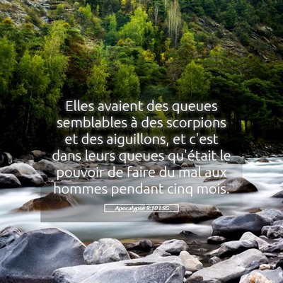 Picture 05 - Apocalypse 9:10 LSG - Elles avaient des queues semblables à des - Bible Verse Picture
