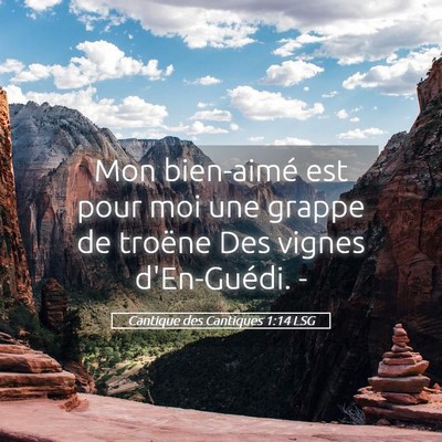 Picture 05 - Cantique des Cantiques 1:14 LSG - Mon bien-aimé est pour moi une grappe de troëne - Bible Verse Picture