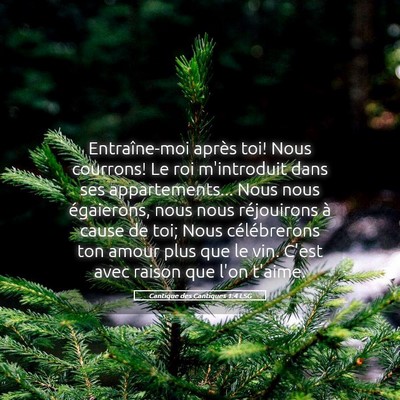 Picture 05 - Cantique des Cantiques 1:4 LSG - Entraîne-moi après toi! Nous courrons! Le roi - Bible Verse Picture