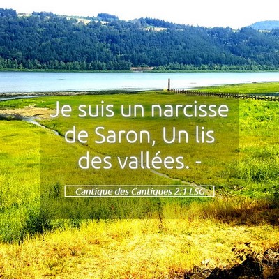 Picture 05 - Cantique des Cantiques 2:1 LSG - Je suis un narcisse de Saron, Un lis des - Bible Verse Picture