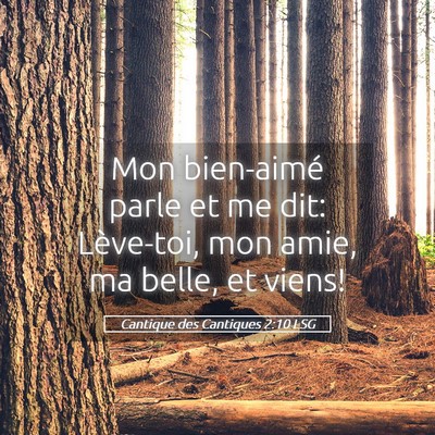 Picture 05 - Cantique des Cantiques 2:10 LSG - Mon bien-aimé parle et me dit: Lève-toi, mon - Bible Verse Picture