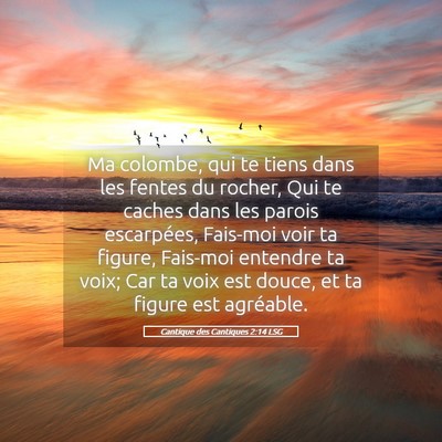 Picture 05 - Cantique des Cantiques 2:14 LSG - Ma colombe, qui te tiens dans les fentes du - Bible Verse Picture