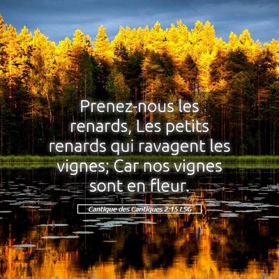 Picture 05 - Cantique des Cantiques 2:15 LSG - Prenez-nous les renards, Les petits renards qui - Bible Verse Picture