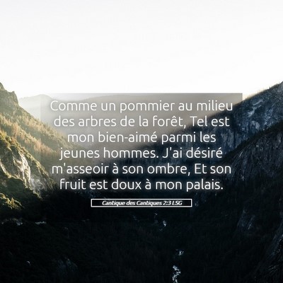 Picture 05 - Cantique des Cantiques 2:3 LSG - Comme un pommier au milieu des arbres de la - Bible Verse Picture