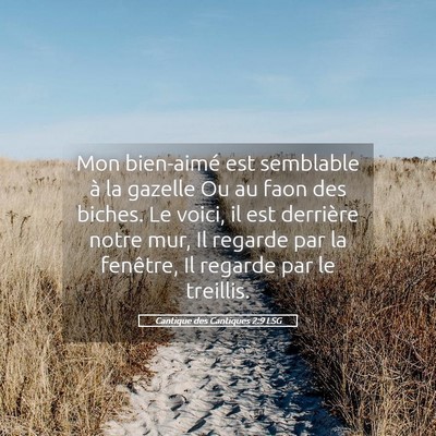 Picture 05 - Cantique des Cantiques 2:9 LSG - Mon bien-aimé est semblable à la gazelle Ou au - Bible Verse Picture