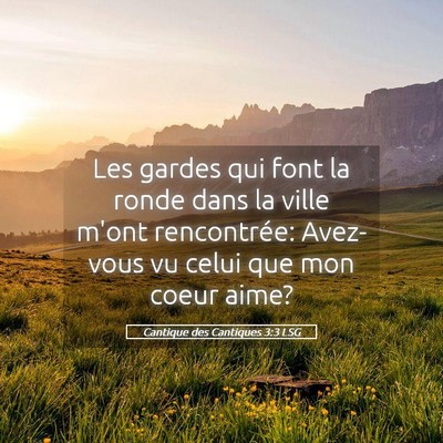 Picture 05 - Cantique des Cantiques 3:3 LSG - Les gardes qui font la ronde dans la ville m'ont - Bible Verse Picture