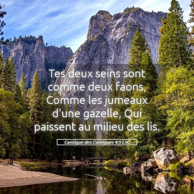 Picture 05 - Cantique des Cantiques 4:5 LSG - Tes deux seins sont comme deux faons, Comme les - Bible Verse Picture
