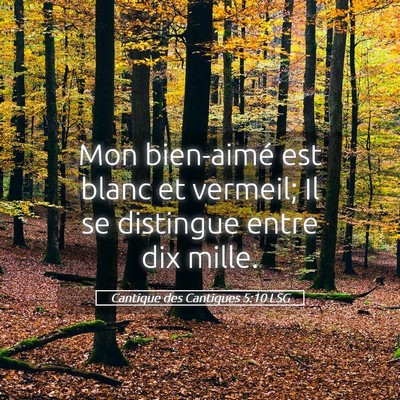 Picture 05 - Cantique des Cantiques 5:10 LSG - Mon bien-aimé est blanc et vermeil; Il se - Bible Verse Picture