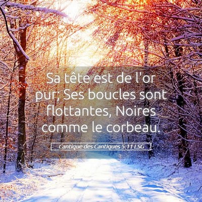 Picture 05 - Cantique des Cantiques 5:11 LSG - Sa tête est de l'or pur; Ses boucles sont - Bible Verse Picture