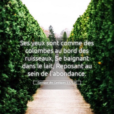 Picture 05 - Cantique des Cantiques 5:12 LSG - Ses yeux sont comme des colombes au bord des - Bible Verse Picture