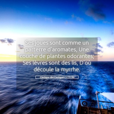 Picture 05 - Cantique des Cantiques 5:13 LSG - Ses joues sont comme un parterre d'aromates, Une - Bible Verse Picture