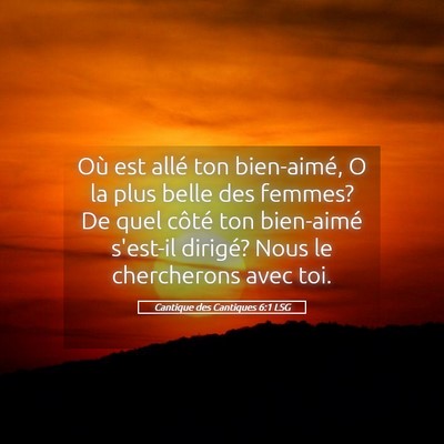 Picture 05 - Cantique des Cantiques 6:1 LSG - Où est allé ton bien-aimé, O la plus belle des - Bible Verse Picture