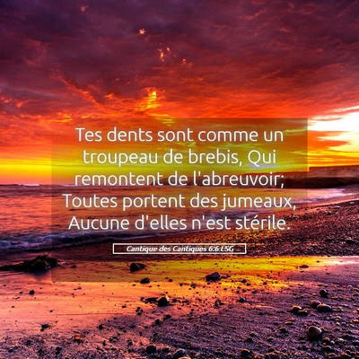 Picture 05 - Cantique des Cantiques 6:6 LSG - Tes dents sont comme un troupeau de brebis, Qui - Bible Verse Picture