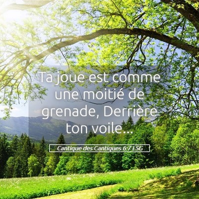 Picture 05 - Cantique des Cantiques 6:7 LSG - Ta joue est comme une moitié de grenade, - Bible Verse Picture