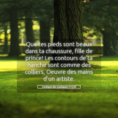 Picture 05 - Cantique des Cantiques 7:1 LSG - Que tes pieds sont beaux dans ta chaussure, fille - Bible Verse Picture