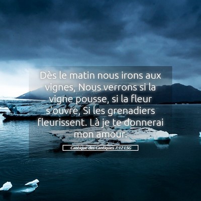 Picture 05 - Cantique des Cantiques 7:12 LSG - Dès le matin nous irons aux vignes, Nous verrons - Bible Verse Picture