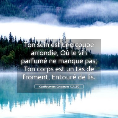 Picture 05 - Cantique des Cantiques 7:2 LSG - Ton sein est une coupe arrondie, Où le vin - Bible Verse Picture