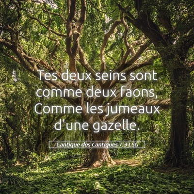 Picture 05 - Cantique des Cantiques 7:3 LSG - Tes deux seins sont comme deux faons, Comme les - Bible Verse Picture