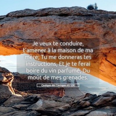 Picture 05 - Cantique des Cantiques 8:2 LSG - Je veux te conduire, t'amener à la maison de ma - Bible Verse Picture