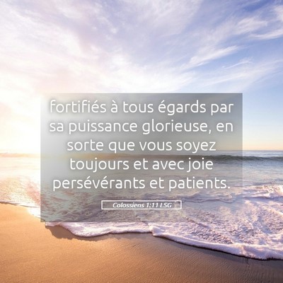 Picture 05 - Colossiens 1:11 LSG - fortifiés à tous égards par sa puissance - Bible Verse Picture