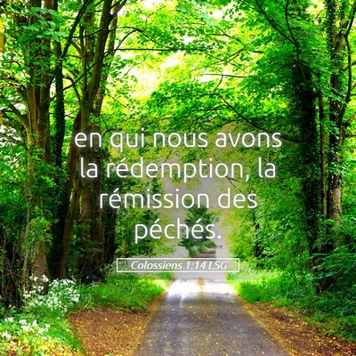 Picture 05 - Colossiens 1:14 LSG - en qui nous avons la rédemption, la rémission - Bible Verse Picture