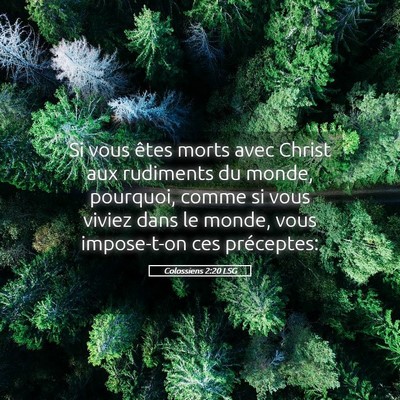 Picture 05 - Colossiens 2:20 LSG - Si vous êtes morts avec Christ aux rudiments du - Bible Verse Picture