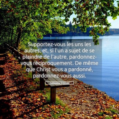 Picture 05 - Colossiens 3:13 LSG - Supportez-vous les uns les autres, et, si l'un a - Bible Verse Picture