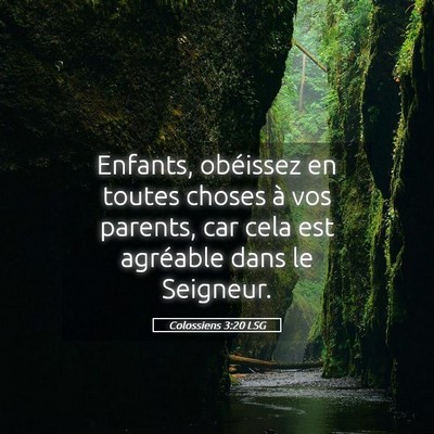 Picture 05 - Colossiens 3:20 LSG - Enfants, obéissez en toutes choses à vos - Bible Verse Picture
